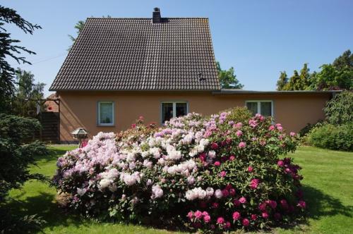 Aussenansichten: gartenseitige Ansicht