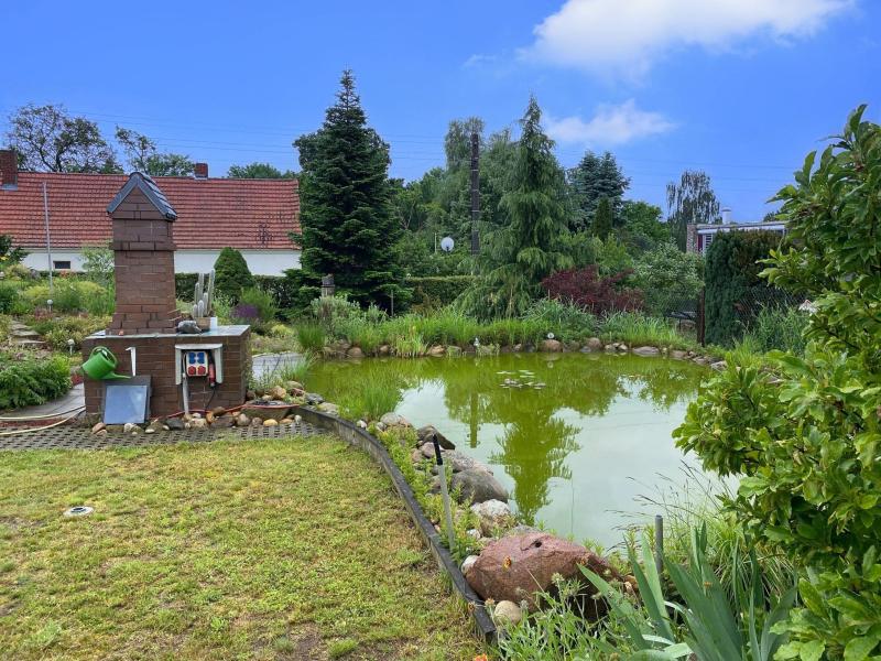 Aussenansichten: Gartenteich mit Grillkamin